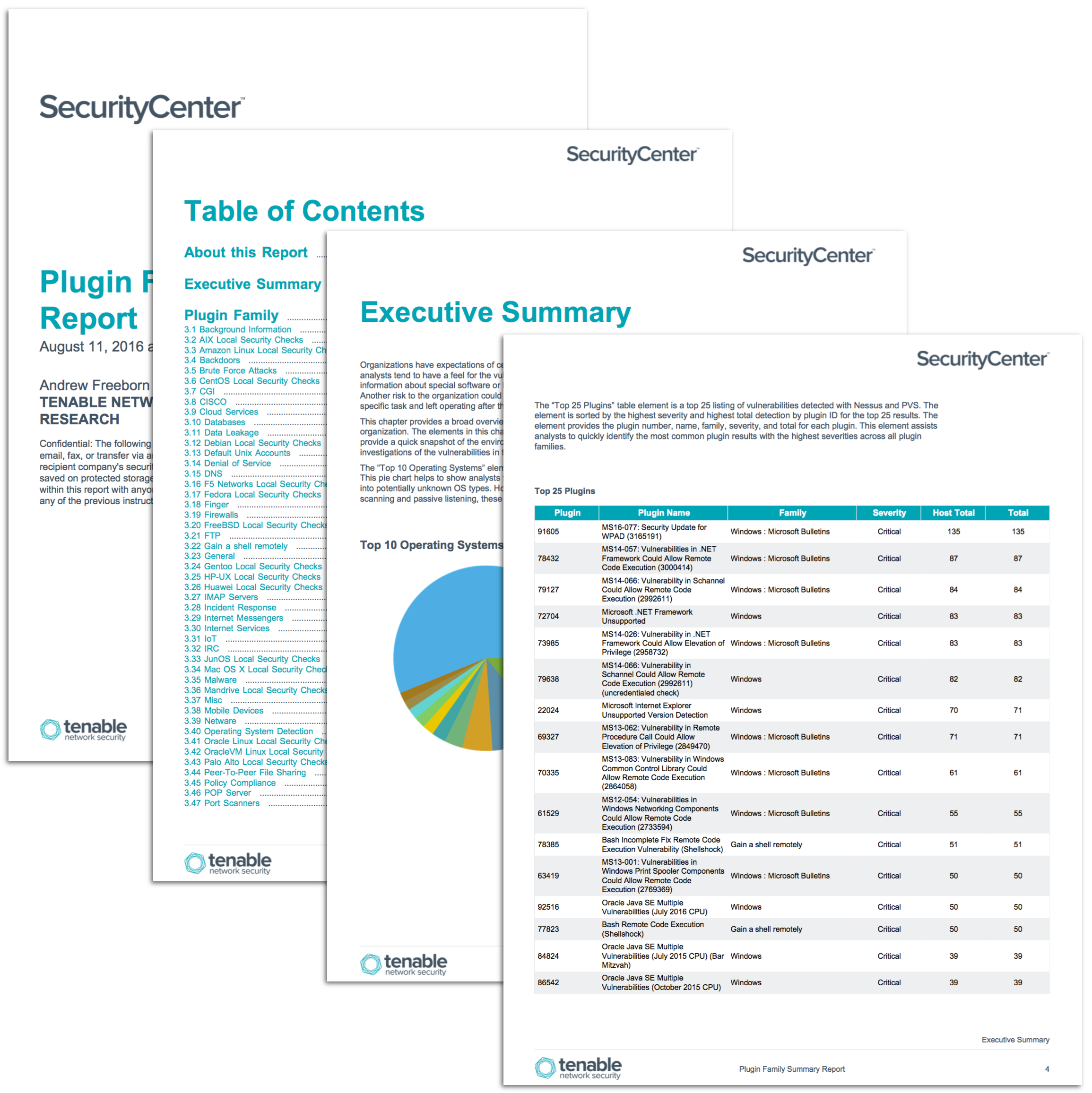 plugin-family-summary-sc-report-template-tenable